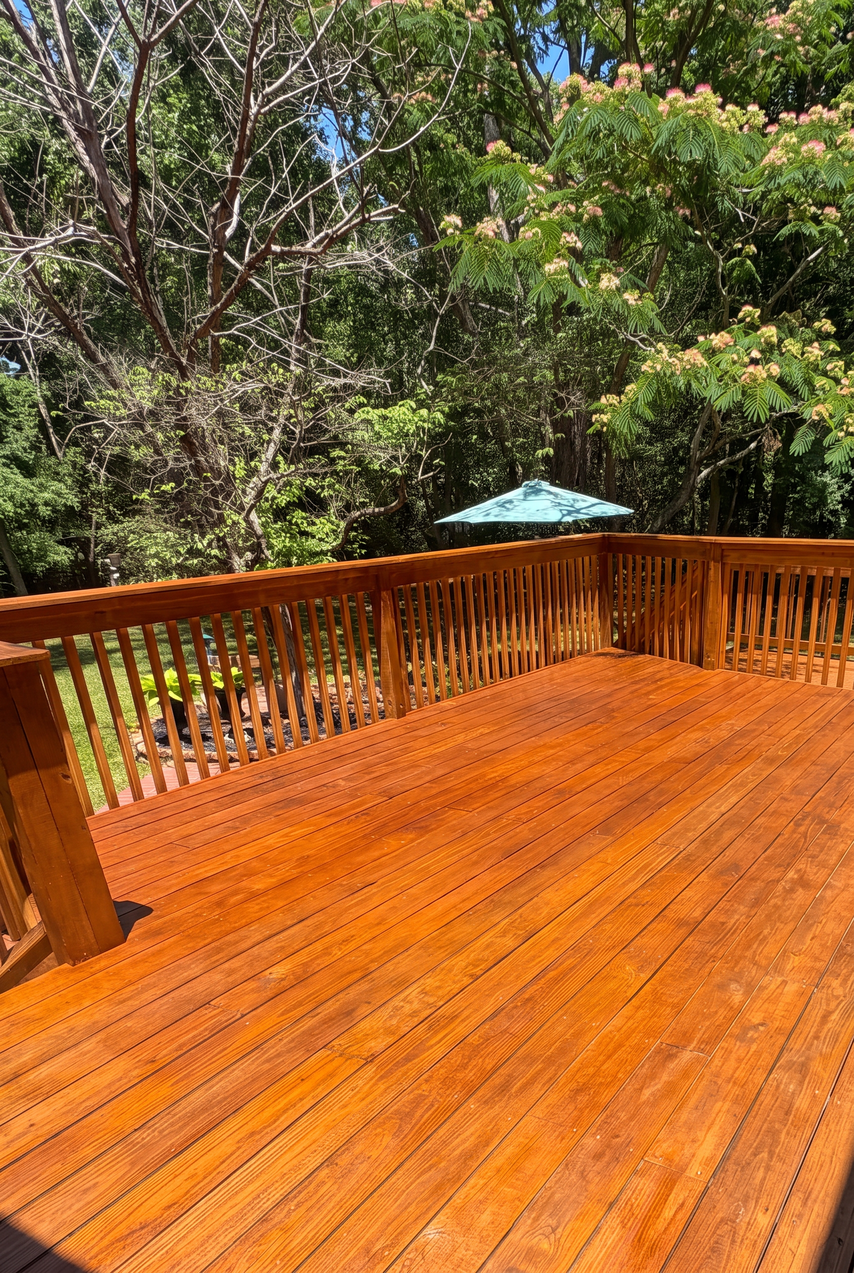 Backyard wooden deck and railings freshly stained with a warm amber finish surrounded by trees
